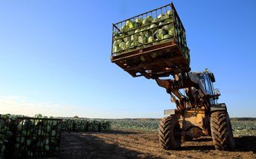 Урожай цифр сельской России