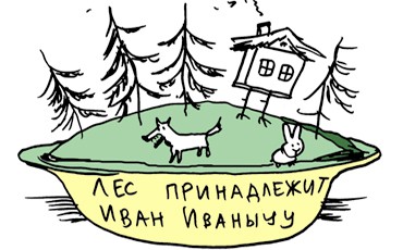 Восстановление лесов оплатит бизнес