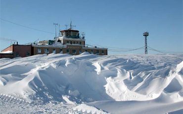 Арктические заморозки