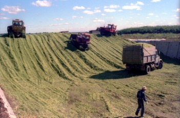 Лишь в одном регионе выгодно работать в сельском хозяйстве