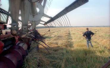 Учет рабочего времени аграриев требуют отменить