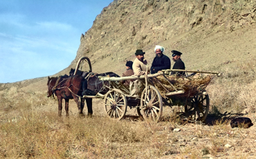 Бунт по Высочайшему повелению