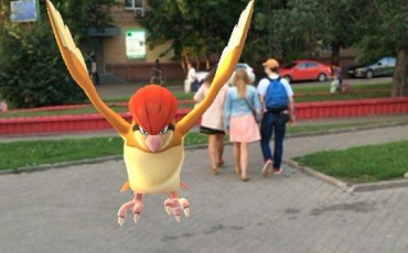 Профсоюз полиции встал на защиту «ловца покемонов»