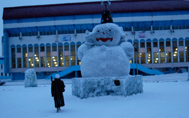 Правительство не одобрило закон о “северных” льготах