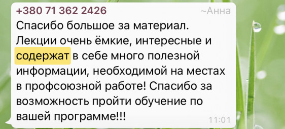 Онлайн-проект "ШКОЛА МОЛОДОГО ПРОФЛИДЕРА"