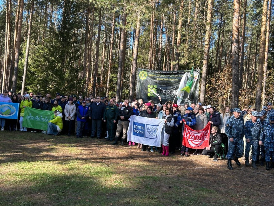 Кокорина Светлана Валентиновна Кокорина Светлана Валентиновна