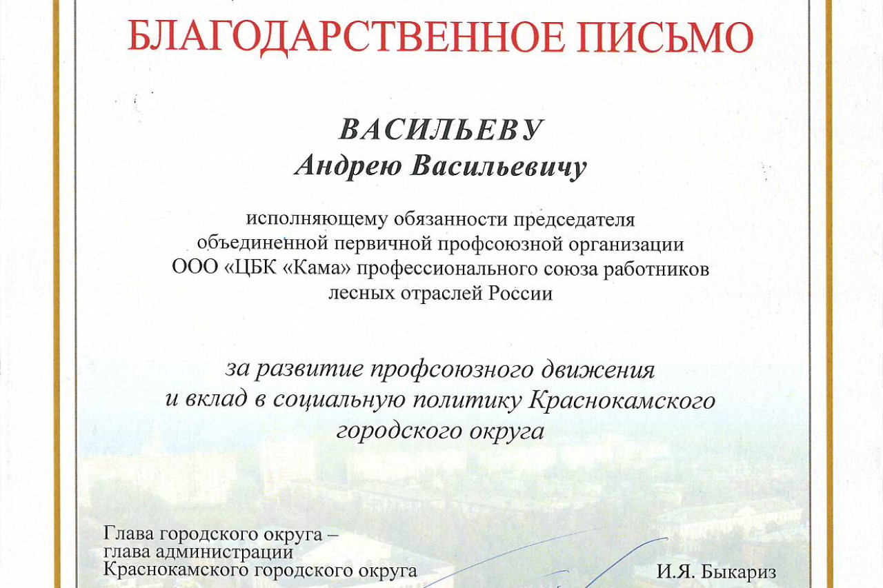 Васильев Андрей Васильевич