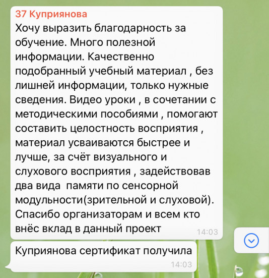 Онлайн-проект "ШКОЛА МОЛОДОГО ПРОФЛИДЕРА" Онлайн-проект "ШКОЛА МОЛОДОГО ПРОФЛИДЕРА"