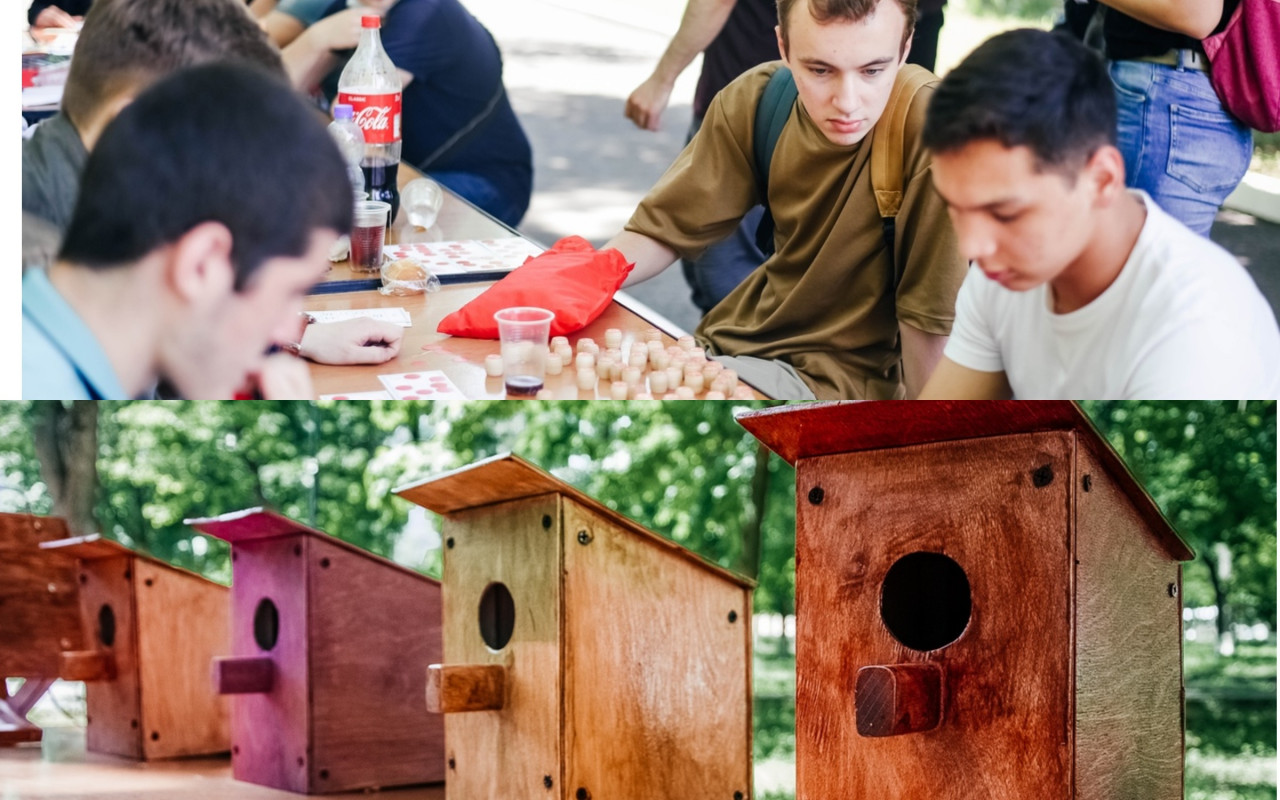 ФЕСТИВАЛЬ ИСКУССТВА И ЭКОЛОГИИ «ARTSKILL» ФЕСТИВАЛЬ ИСКУССТВА И ЭКОЛОГИИ «ARTSKILL»