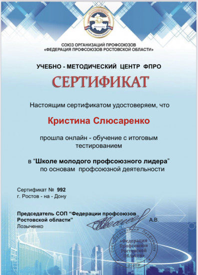 Онлайн-проект "ШКОЛА МОЛОДОГО ПРОФЛИДЕРА"