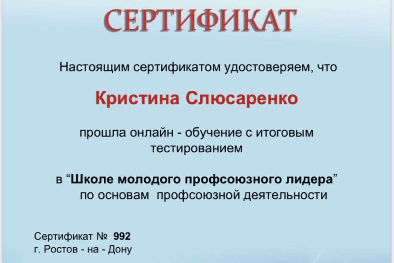 Онлайн-проект "ШКОЛА МОЛОДОГО ПРОФЛИДЕРА"