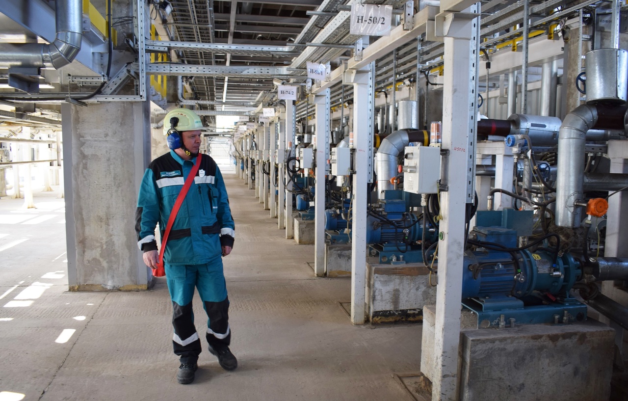 Веденеев Дмитрий Геннадьевич