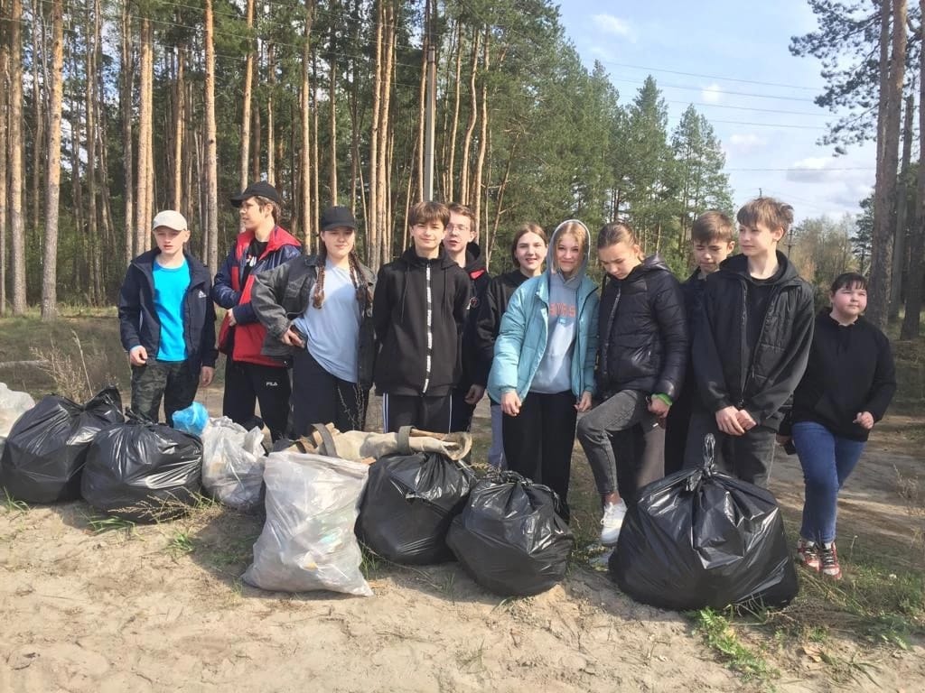 Чистые леса в  Республике  Мордовия