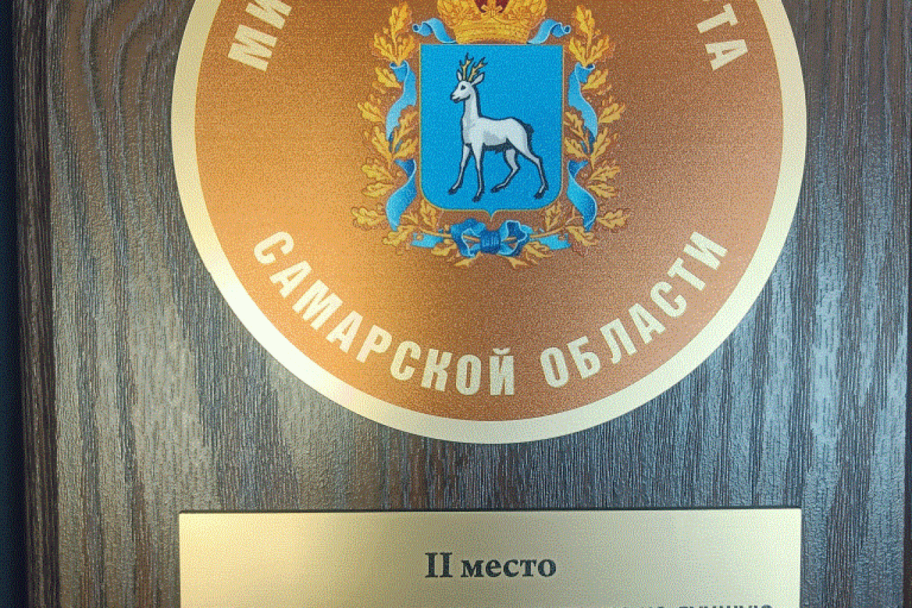 Назин Дмитрий Александрович