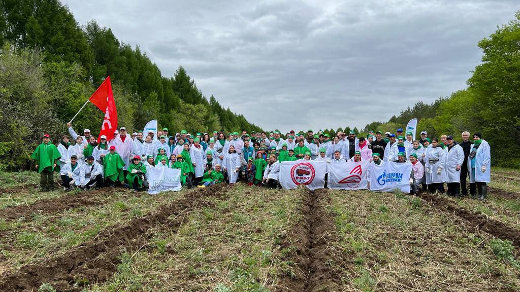 Культура безопасности и здоровье работника