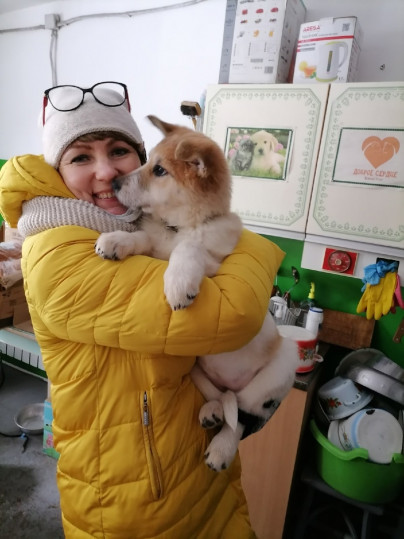 Благотворительность