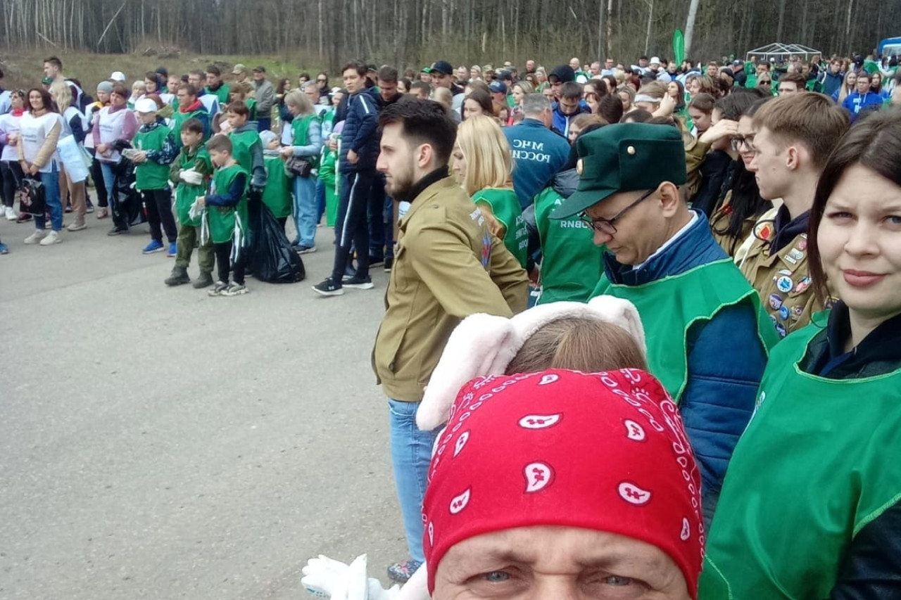 Чистые леса в  Республике  Мордовия