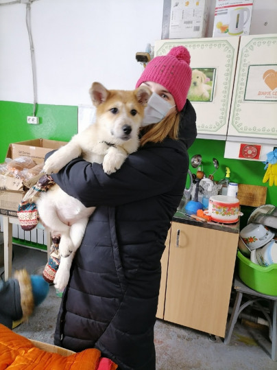 Благотворительность