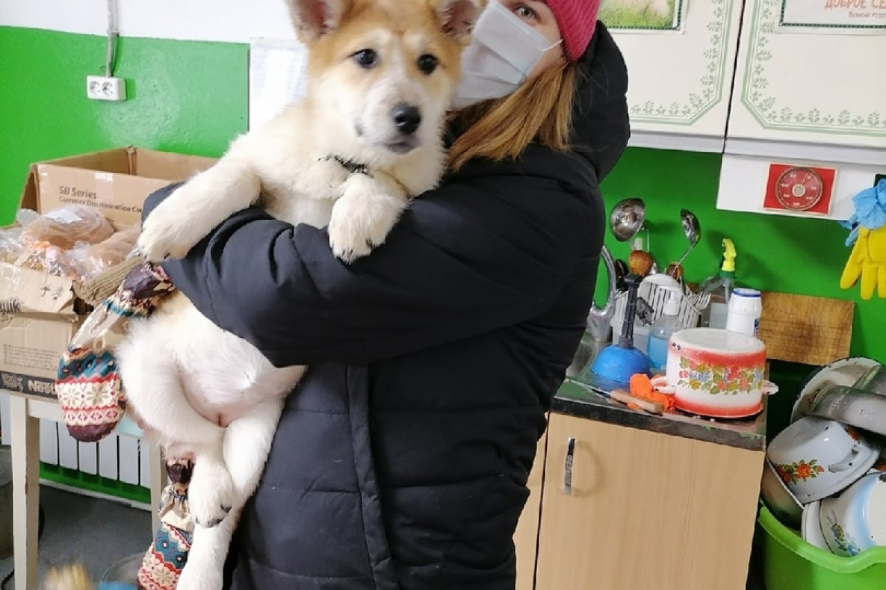 Благотворительность