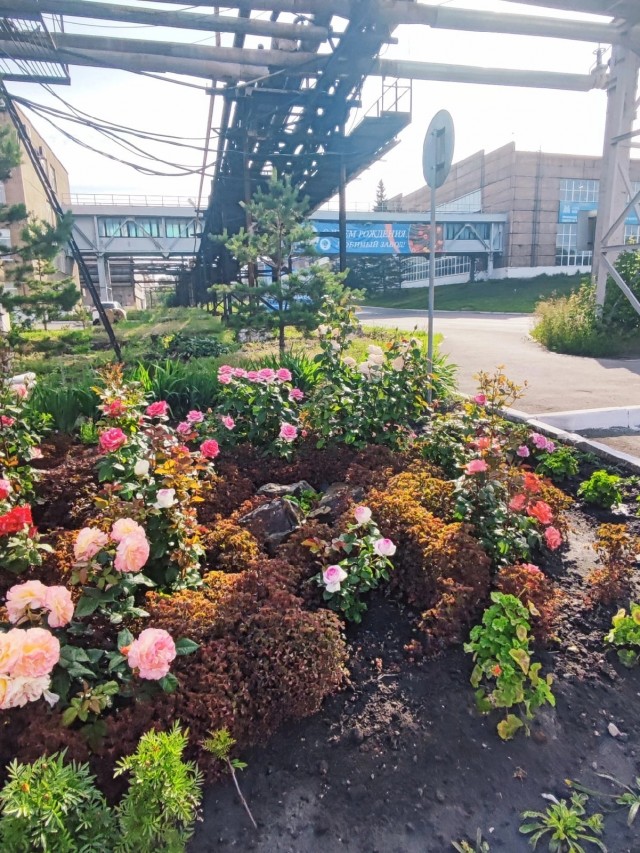 Художественно-эстетический смотр-конкурс "Цветущий завод"