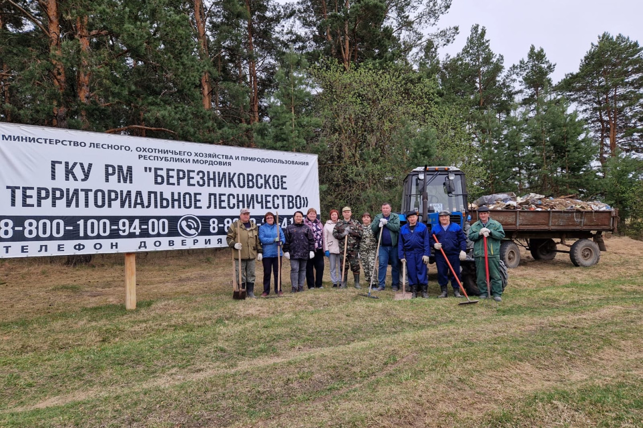 Чистые леса в  Республике  Мордовия