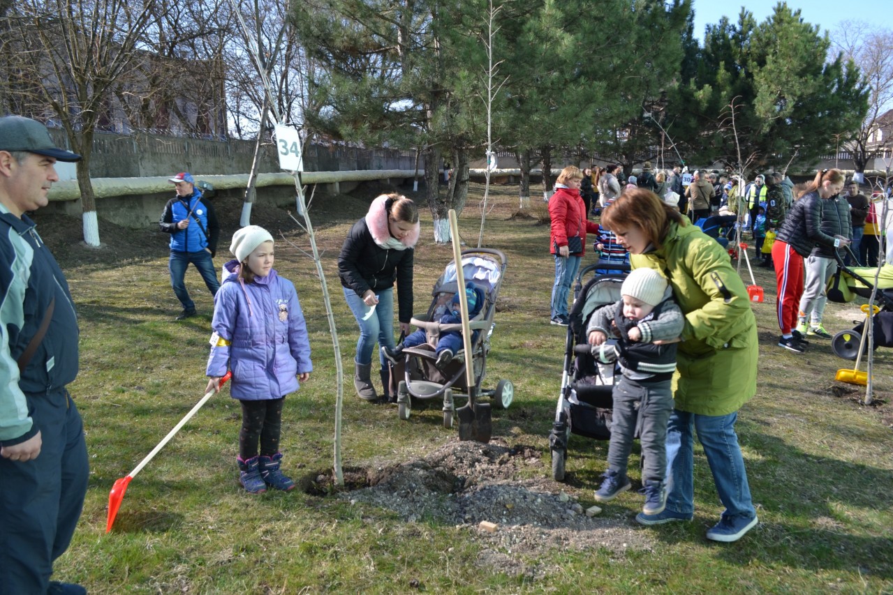 Акция "Посади дерево"