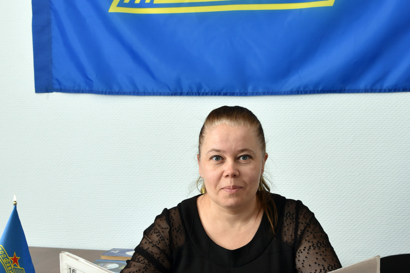 Романенкова Елена Владимировна Романенкова Елена Владимировна