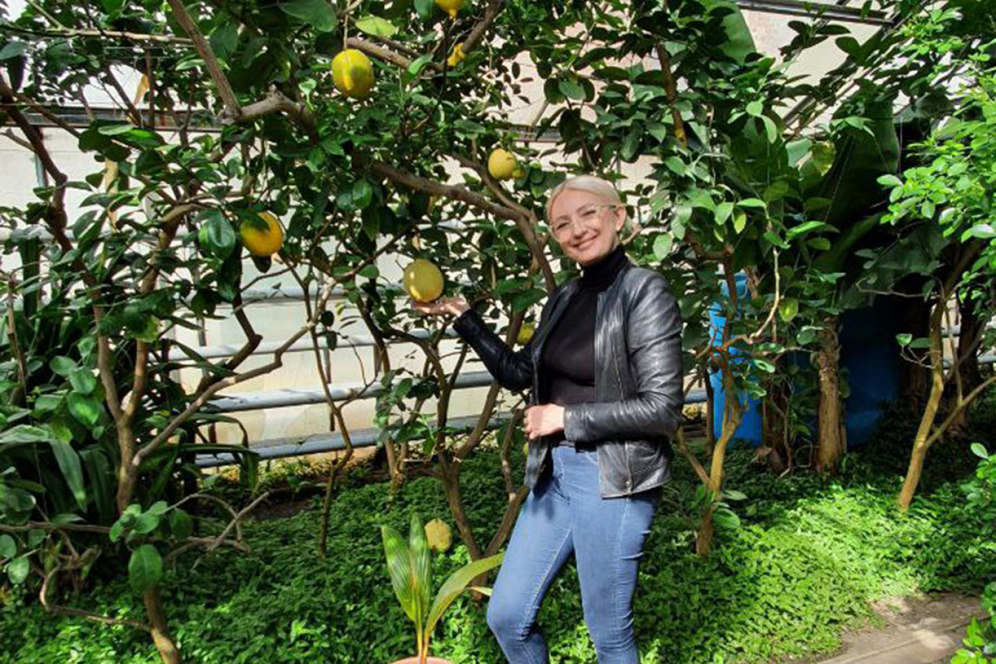 Суровцева Светлана Сергеевна