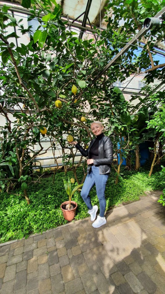 Суровцева Светлана Сергеевна