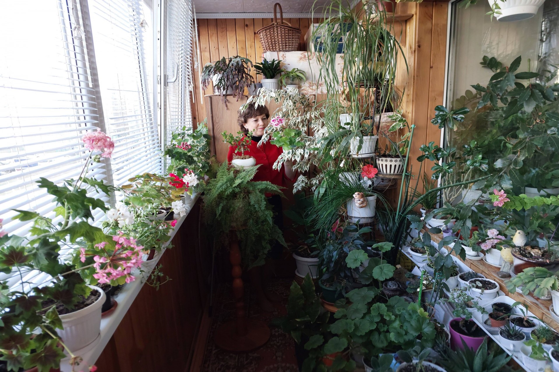 Жемчужникова Анна Александровна