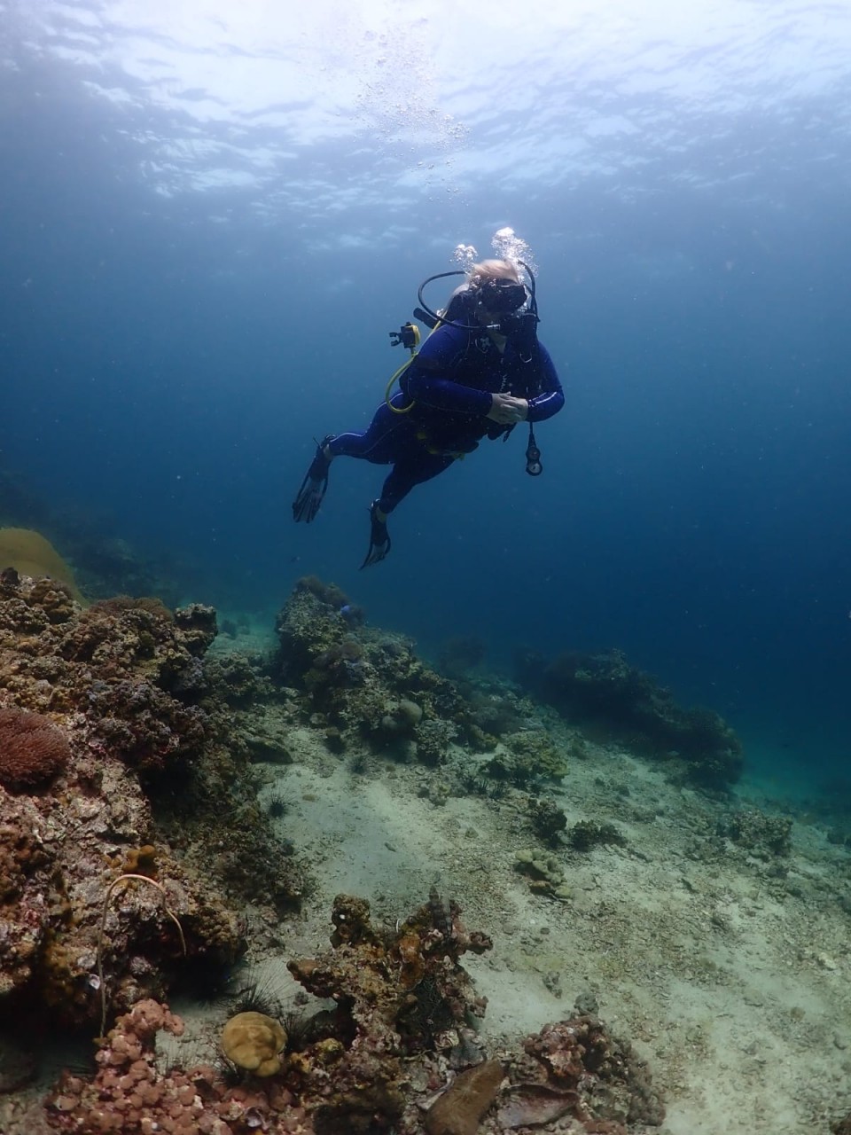 Романова Елена Викторовна