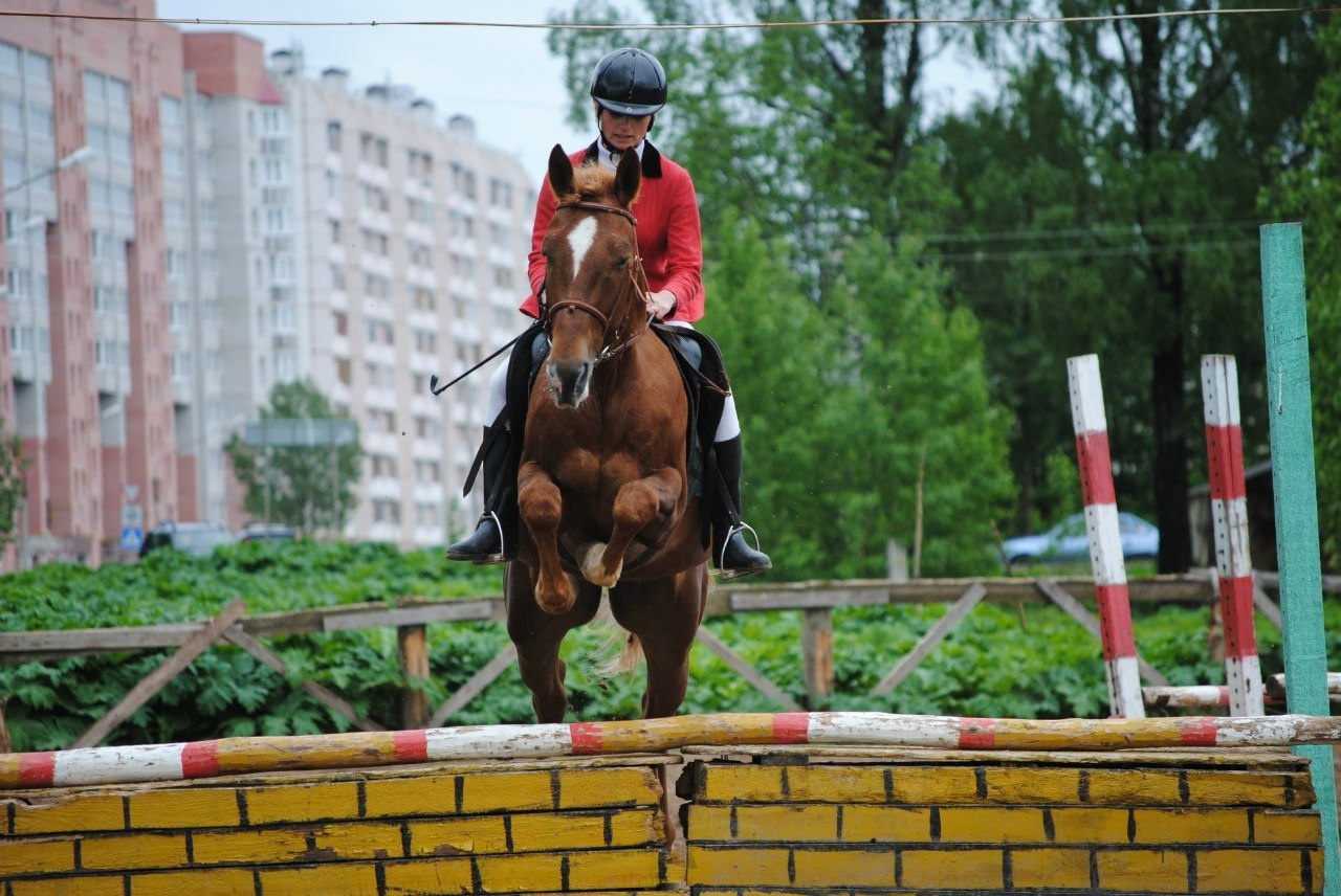 Черноус Анна Сергеевна Черноус Анна Сергеевна