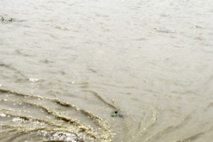 “Рыбалка форева!” По карточкам...