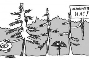 Работникам Лобвинского лесокомбината задолжали миллионы рублей