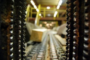 Застывшая лесорубка