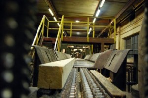 “Сегежский” в глубоком простое