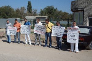 Пикет в камышах