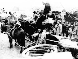 Голод 1930-х:
не только на Украине