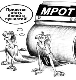 МРОТ удвоят через полгода
